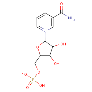 β-Nicotinamide Mononucleotide(NMN)||1094-61-7|East Star Biotech (Suzhou) Co., Ltd.